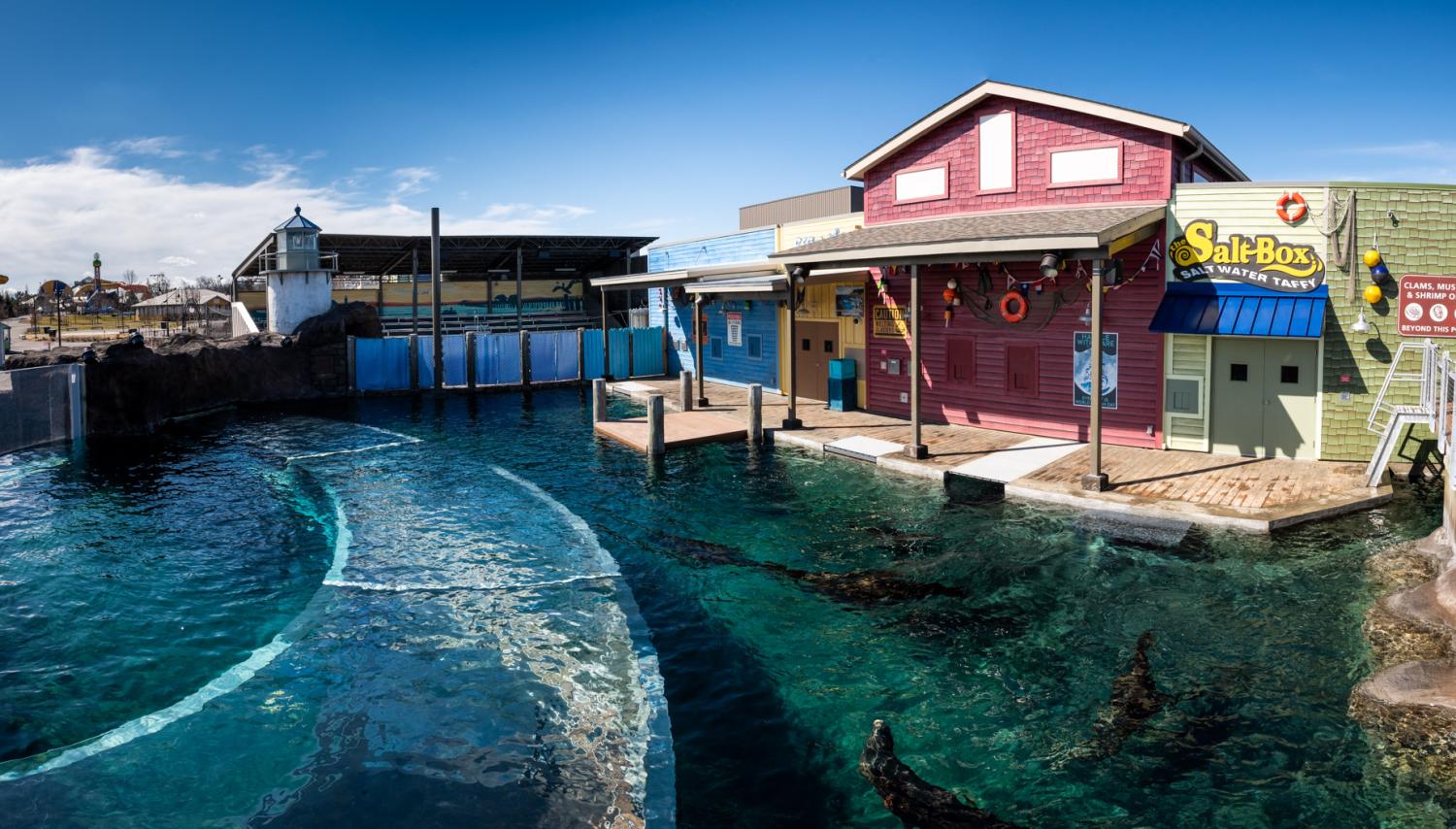 A Ray of "Sunshine" One Sea Lion's Story at the Columbus Zoo